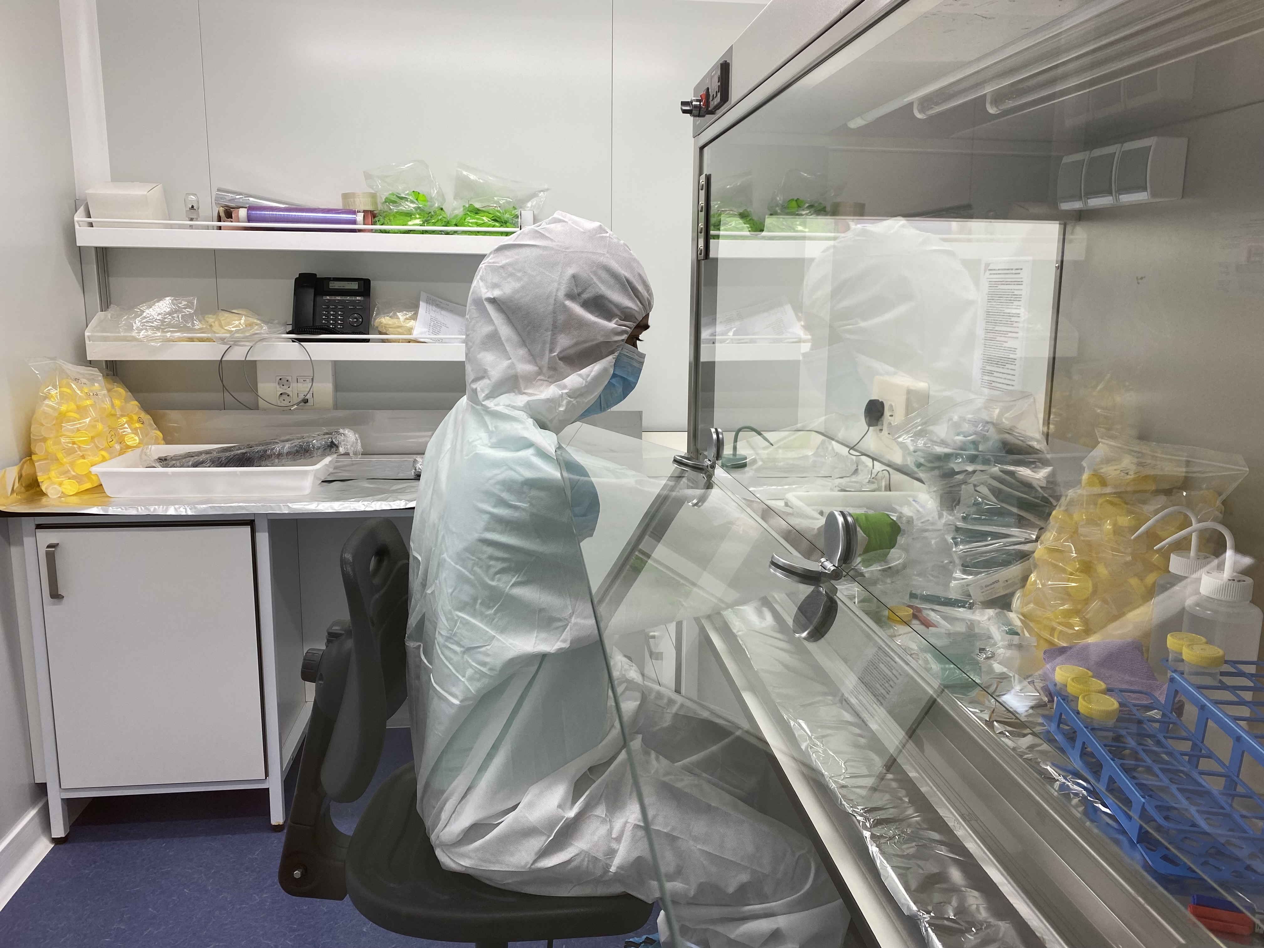 A CEAB-CSIC researcher working in the centre's DNA laboratory.