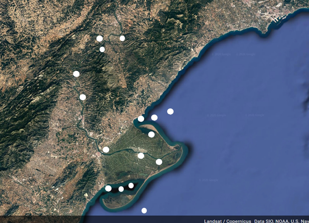 Sampling points in the Ebro Delta, where this new methodology has been tested