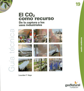 All you need to know about CO2 Capture: “C02 as a resource” is a book written by Lourdes Vega, CSIC scientist and nowadays manager at MATGAS. In the book she explains almost every aspect about CO2 capture and its industrial use.