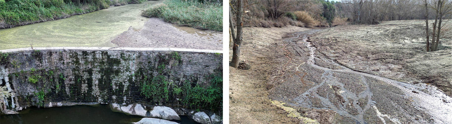 Represa de Monistrol de Calders abans de ser eliminada (esquerra) i estat del curs fluvial després de la seva eliminació (dreta) Imatge: projecte Undammed i ACA